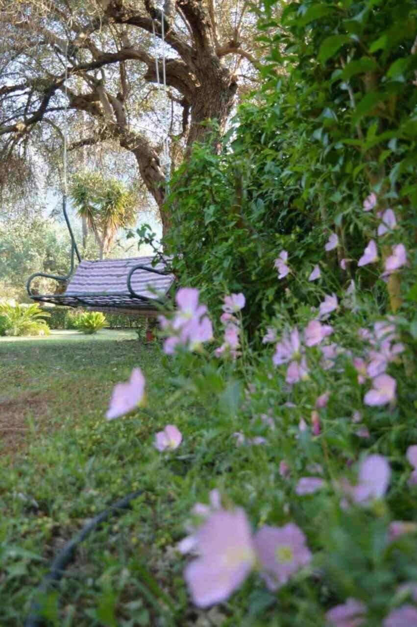 Apartmán Sunny Garden Plataria Exteriér fotografie