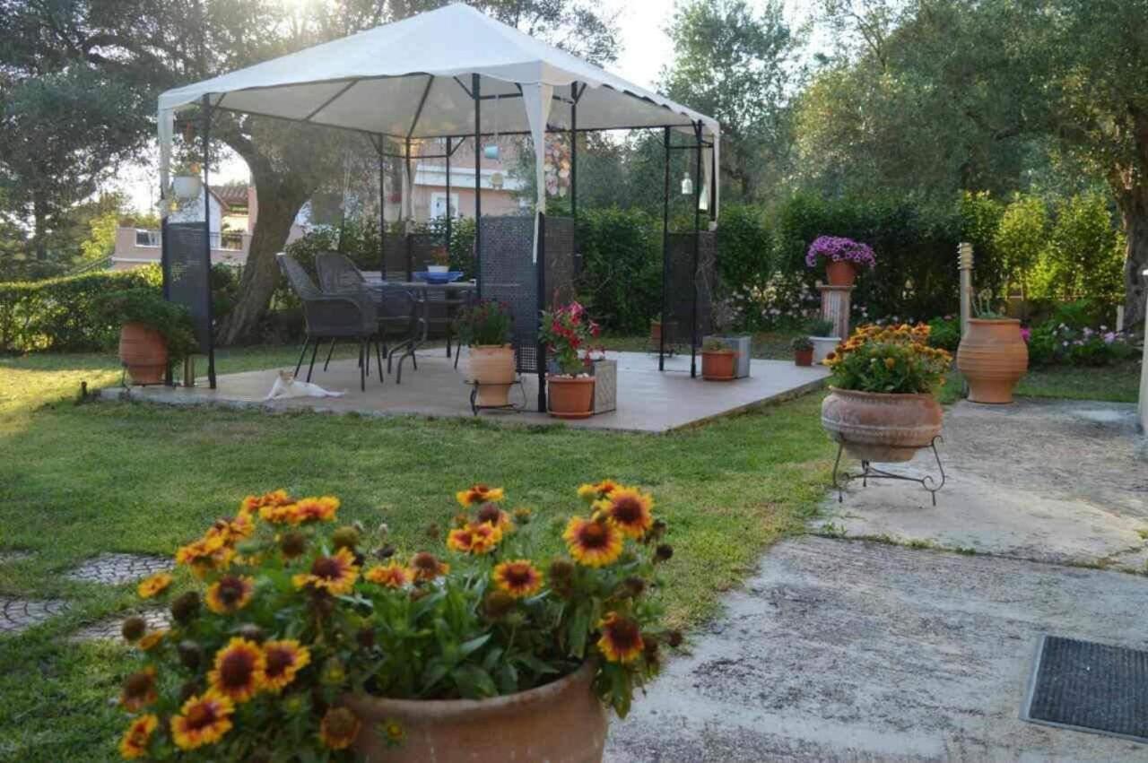 Apartmán Sunny Garden Plataria Exteriér fotografie