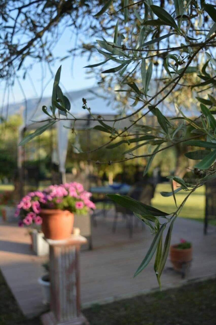 Apartmán Sunny Garden Plataria Exteriér fotografie